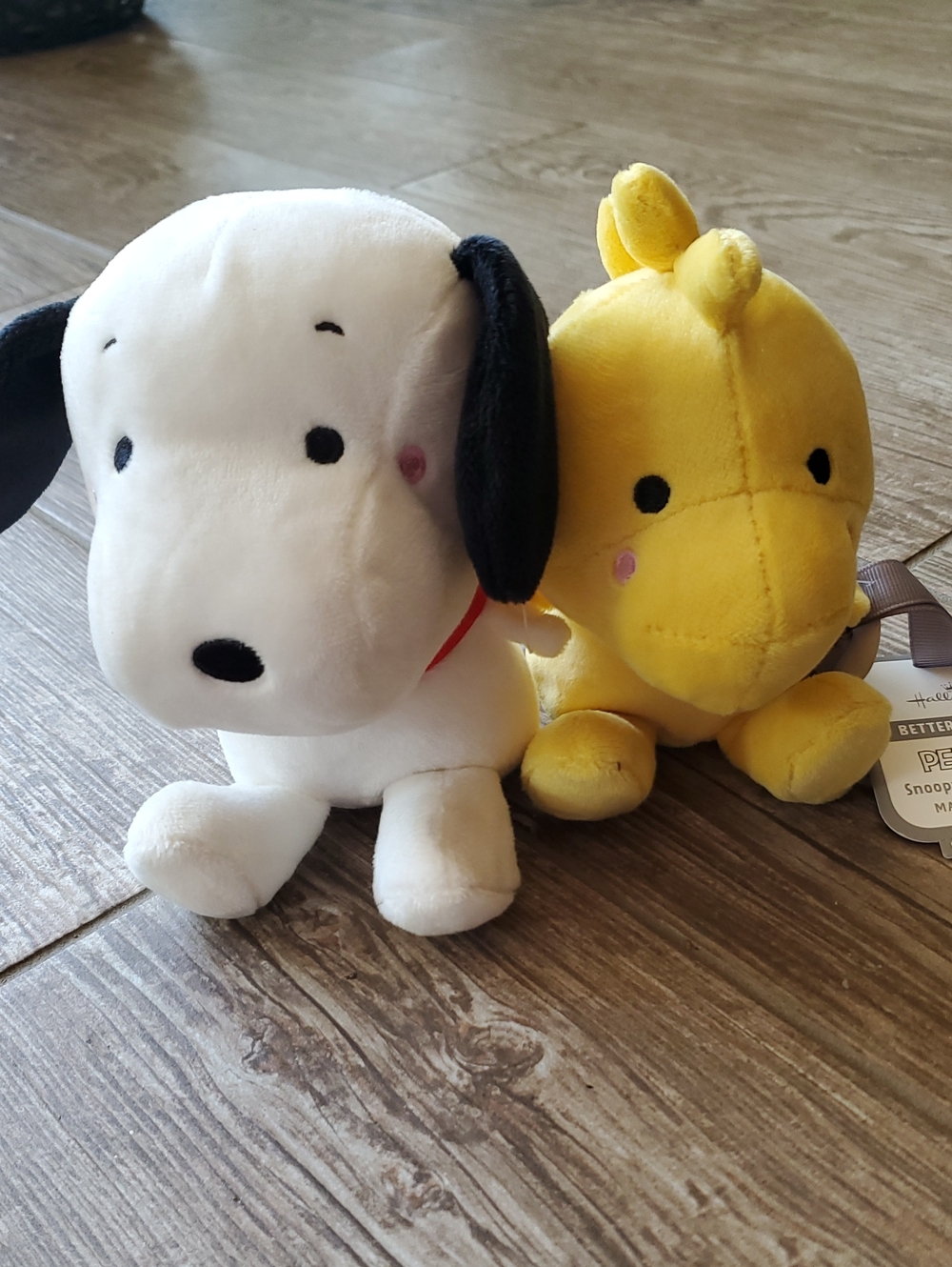 Peanuts Snoopy & Woodstock Plush Pair - Better Together